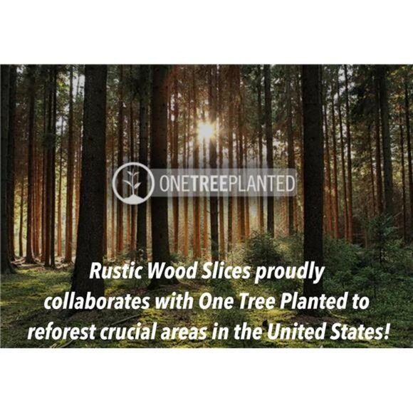 Set of (10) 10-11 inch Wood Slices for centerpieces! (10 inch) - Picture 7 of 8